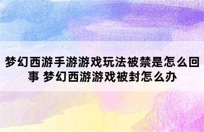 梦幻西游手游游戏玩法被禁是怎么回事 梦幻西游游戏被封怎么办